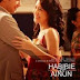 Film Habibie & Ainun (2012)