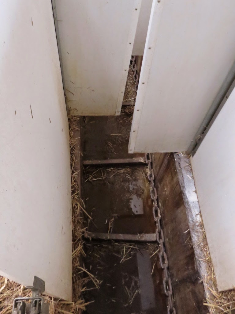 Sacerdos Viennensis Gunther Von Melk