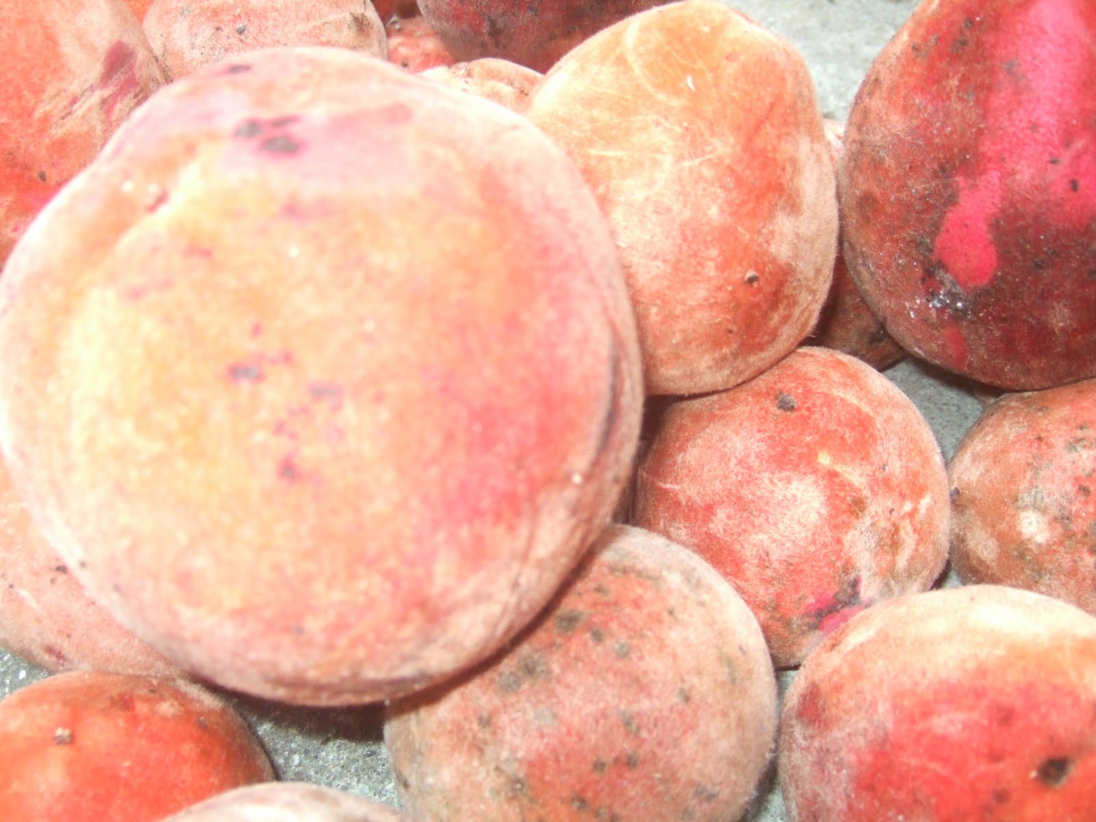 Philippine's Herbal Medicine Velvet apple benefits