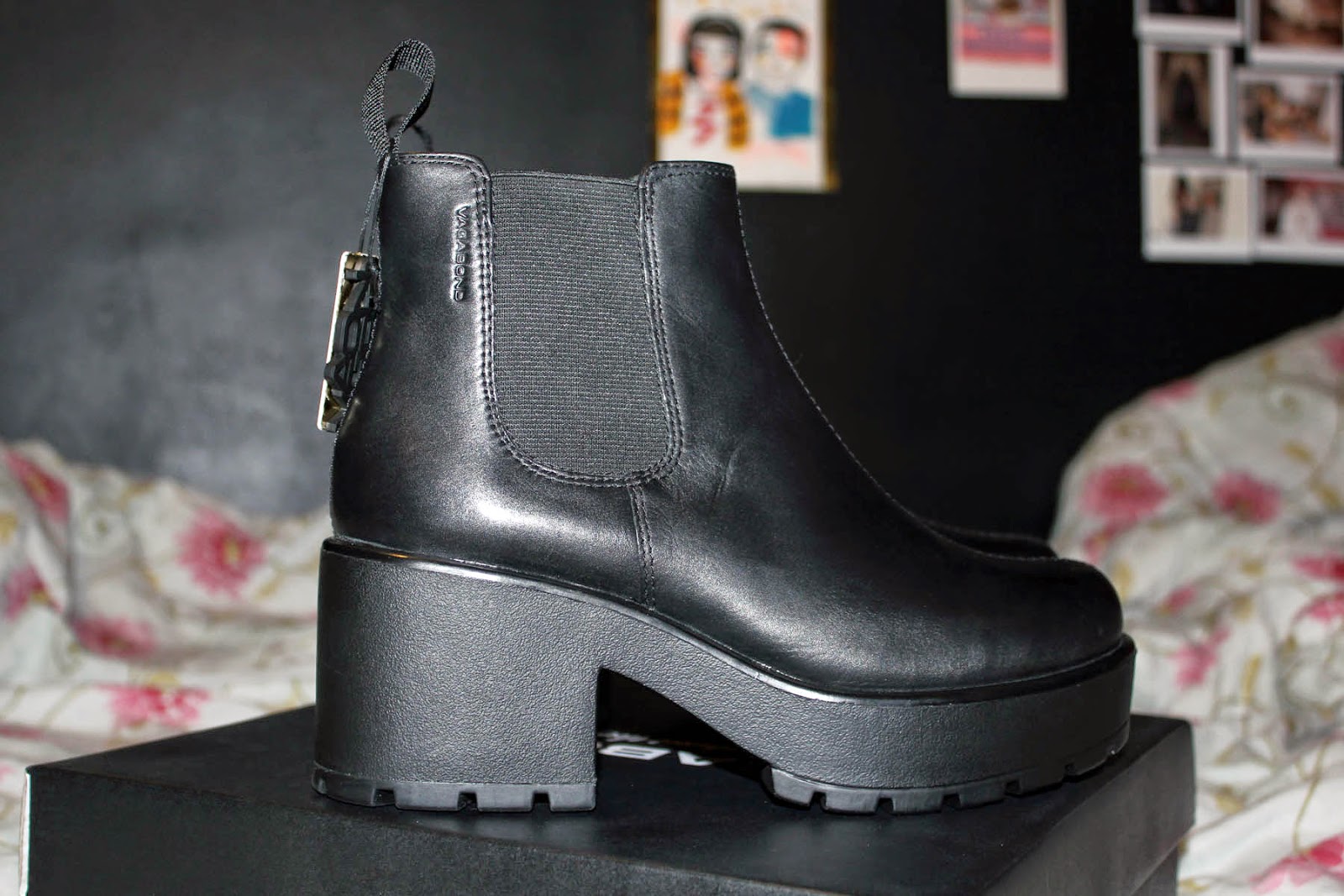 vagabond dioon stretch