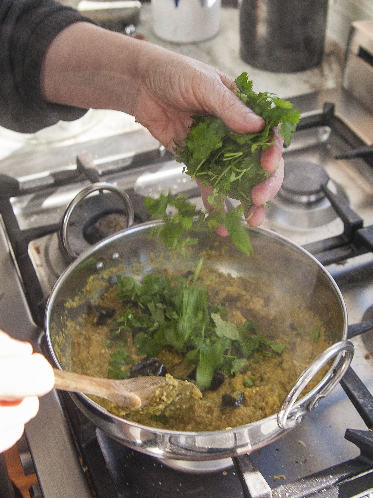 The Colors Of Indian Cooking Fast and Easy, Kerala Style Eggplant