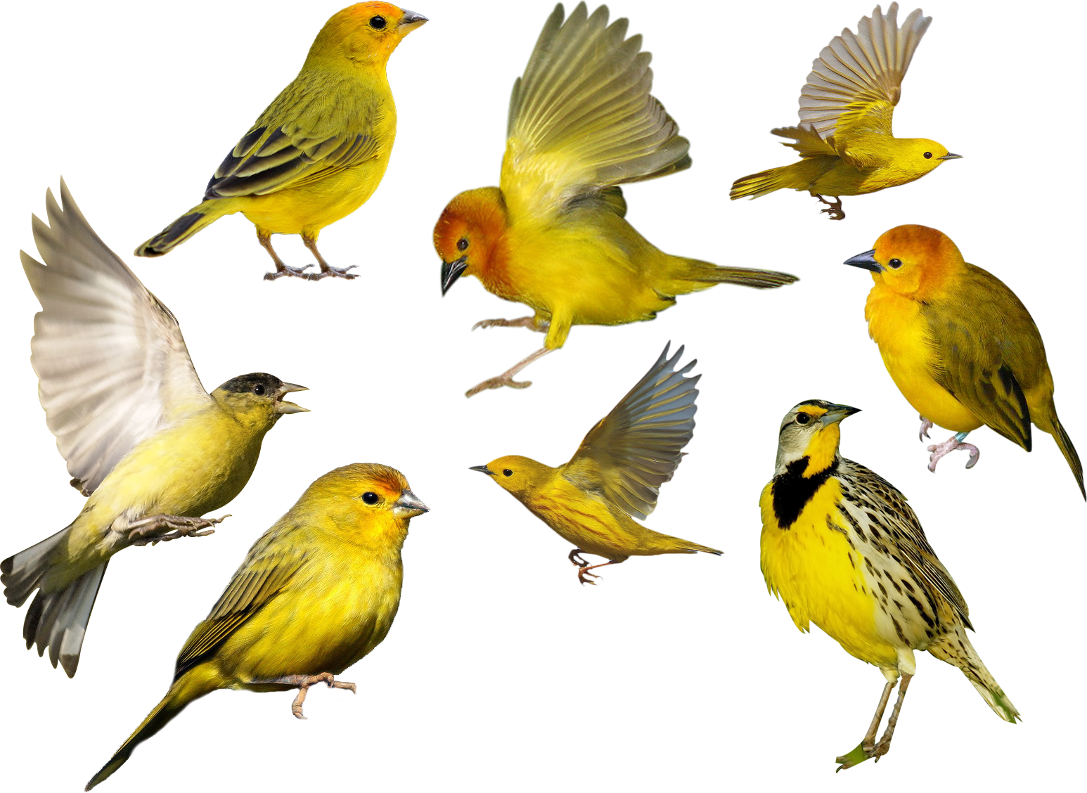 View Imagenes Jpg Y Png Background