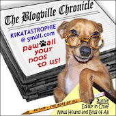 The Blogville Chronicle