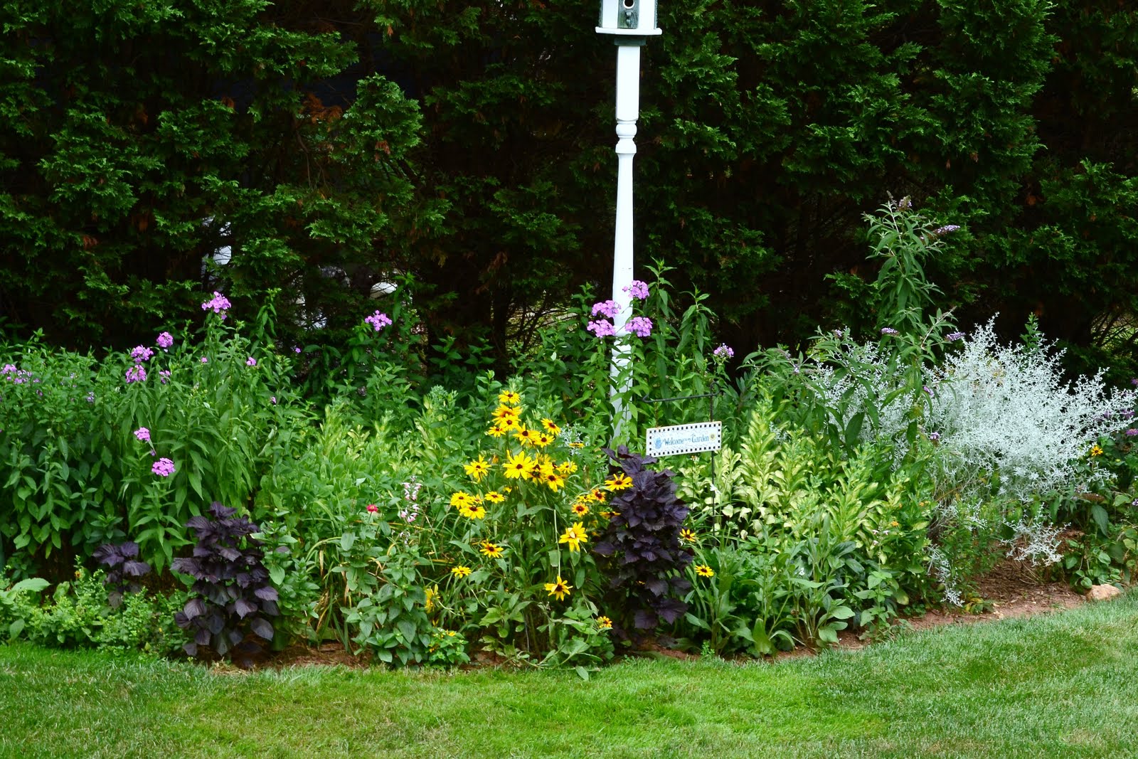 Flowers and Nature in my Garden: Flower Beds