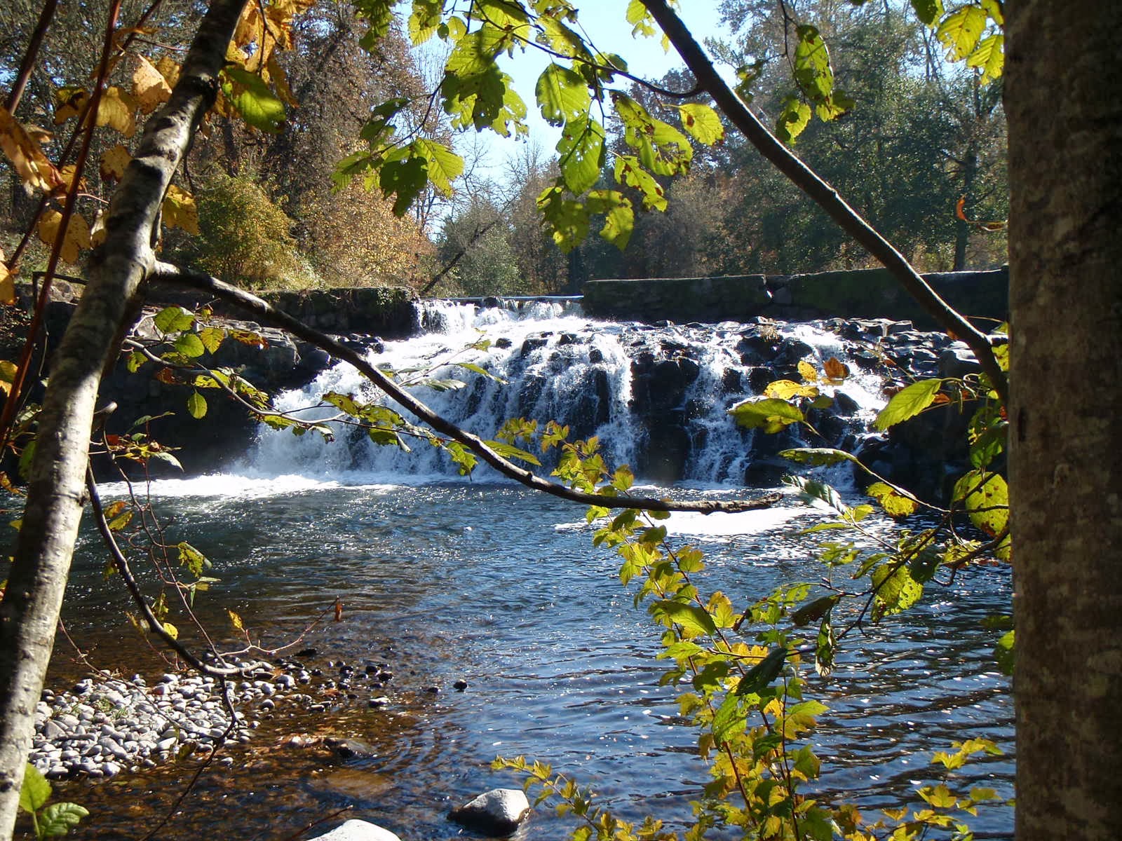 Beaver Country Ramblings