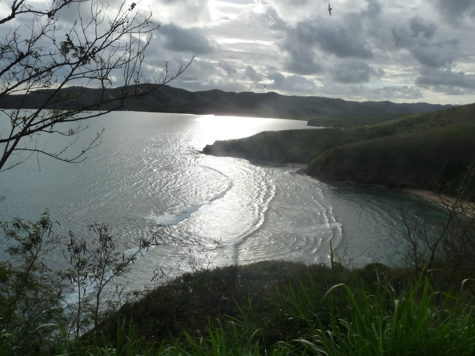 la tribu daubord La baie des Tortues