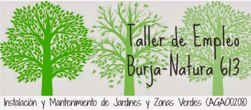 Burja-natura 613 jardines