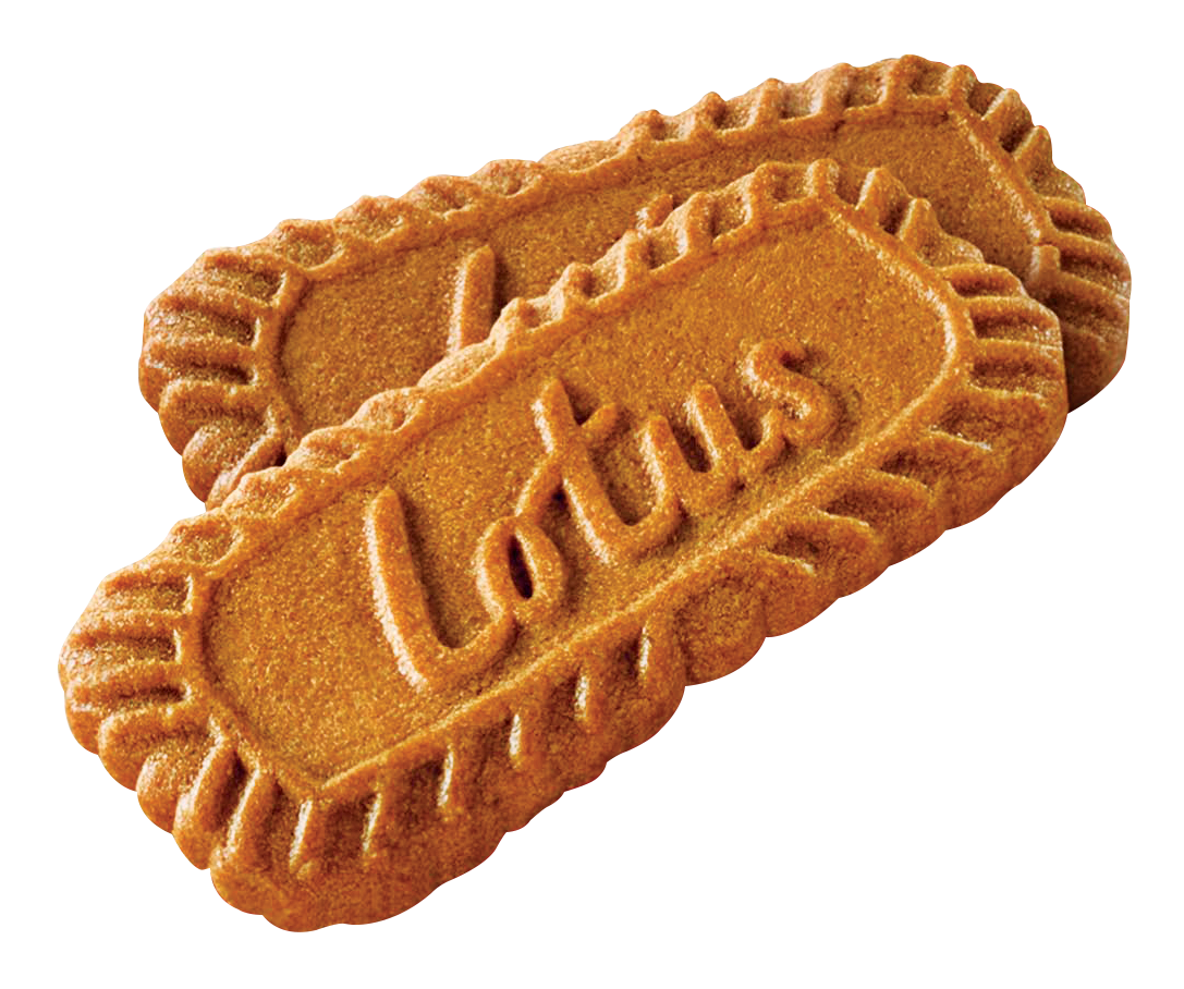 Exciting Biscoff Biscoveries for Christmas It's Me, Gracee