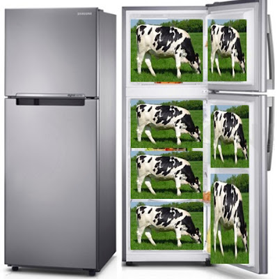 Tebakan Lucu Bersambung Sapi Dan Kulkas Humor X Lucu