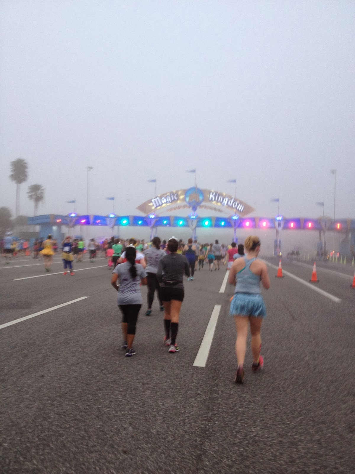 Connect the Dots Ginger Becky Allen Disney Princess 1/2 Marathon