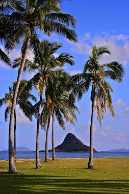 Chinaman's Hat