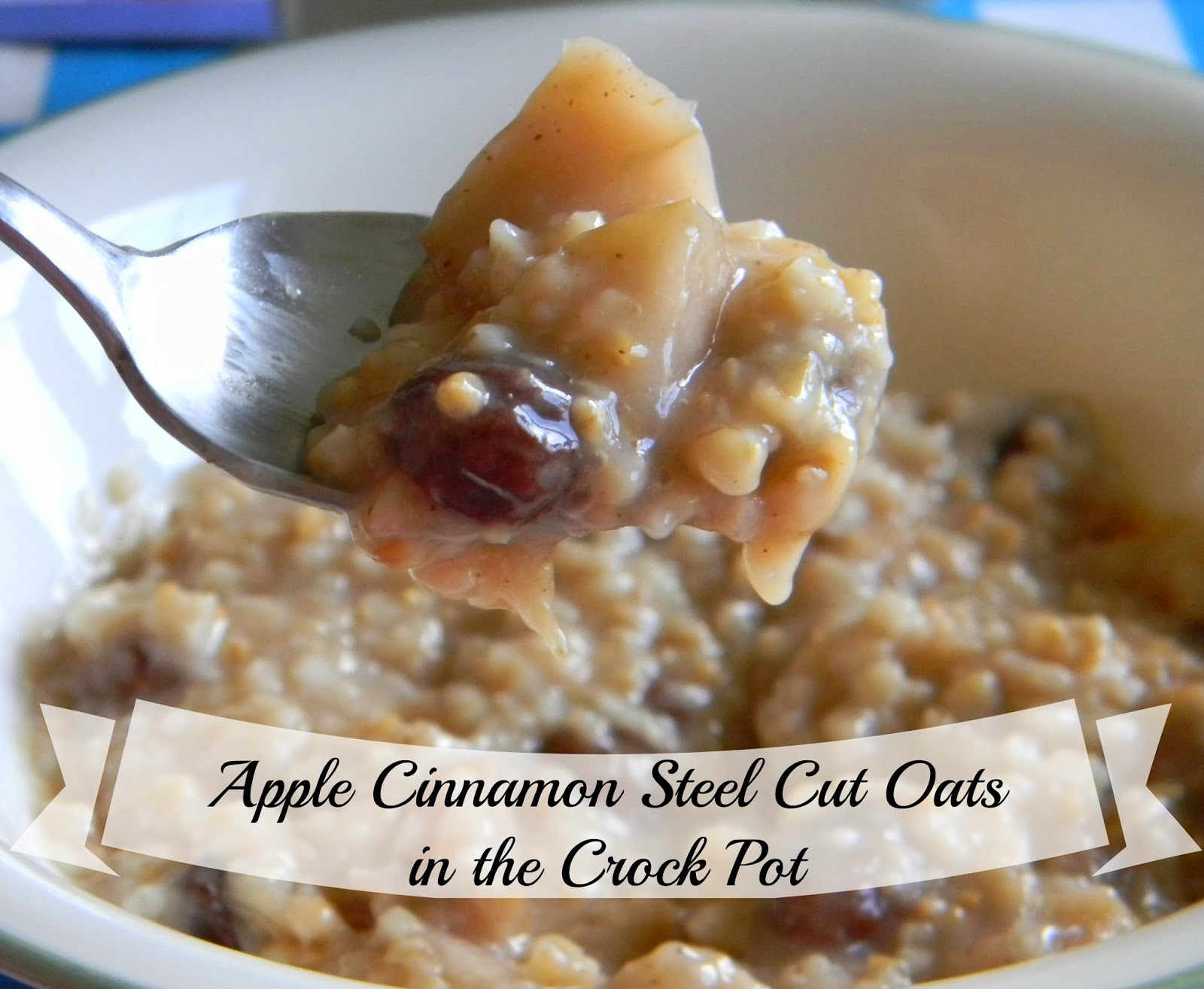 Pinspired Home AppleCinnamon Steel Cut Oats in the Crock Pot