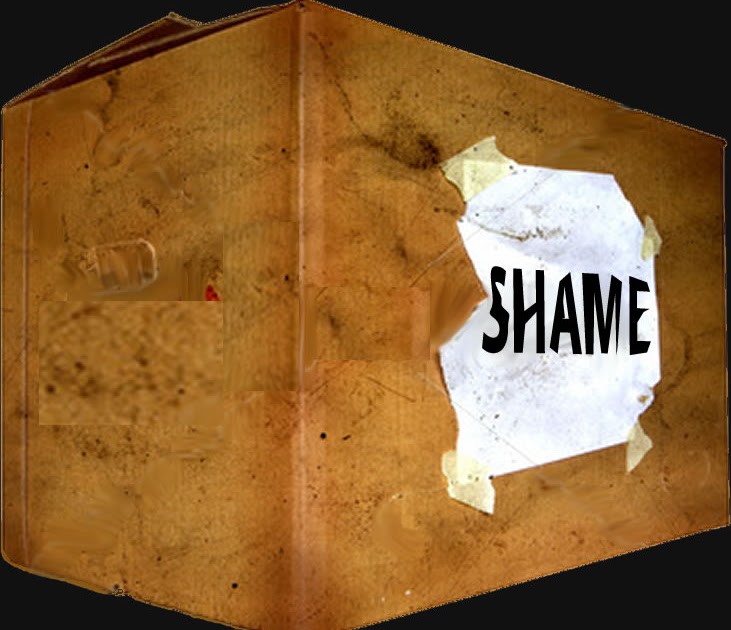 The Box of Shame The Sustainabilitree