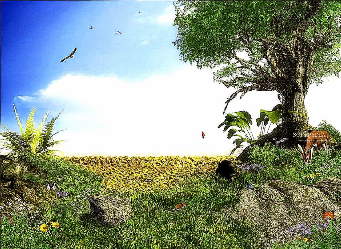 Animated Wallpaper Popular Wallpapers Downloads Animated Wallpaper Popular Wallpapers Downloads
