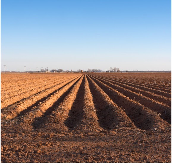 The Scholar Redeemer A Key Step for Fertile Soil