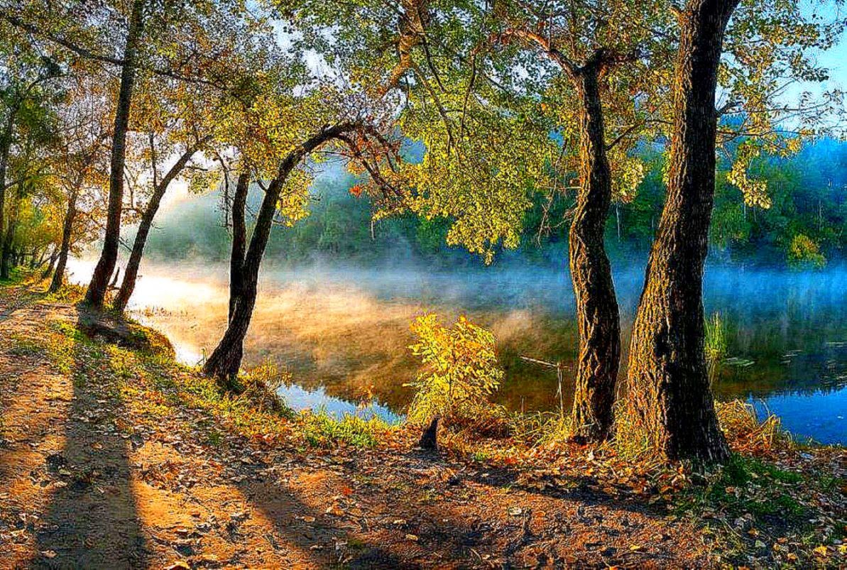 Autumn morning 141703 High Quality and Resolution Autumn morning 141703 High Quality and Resolution