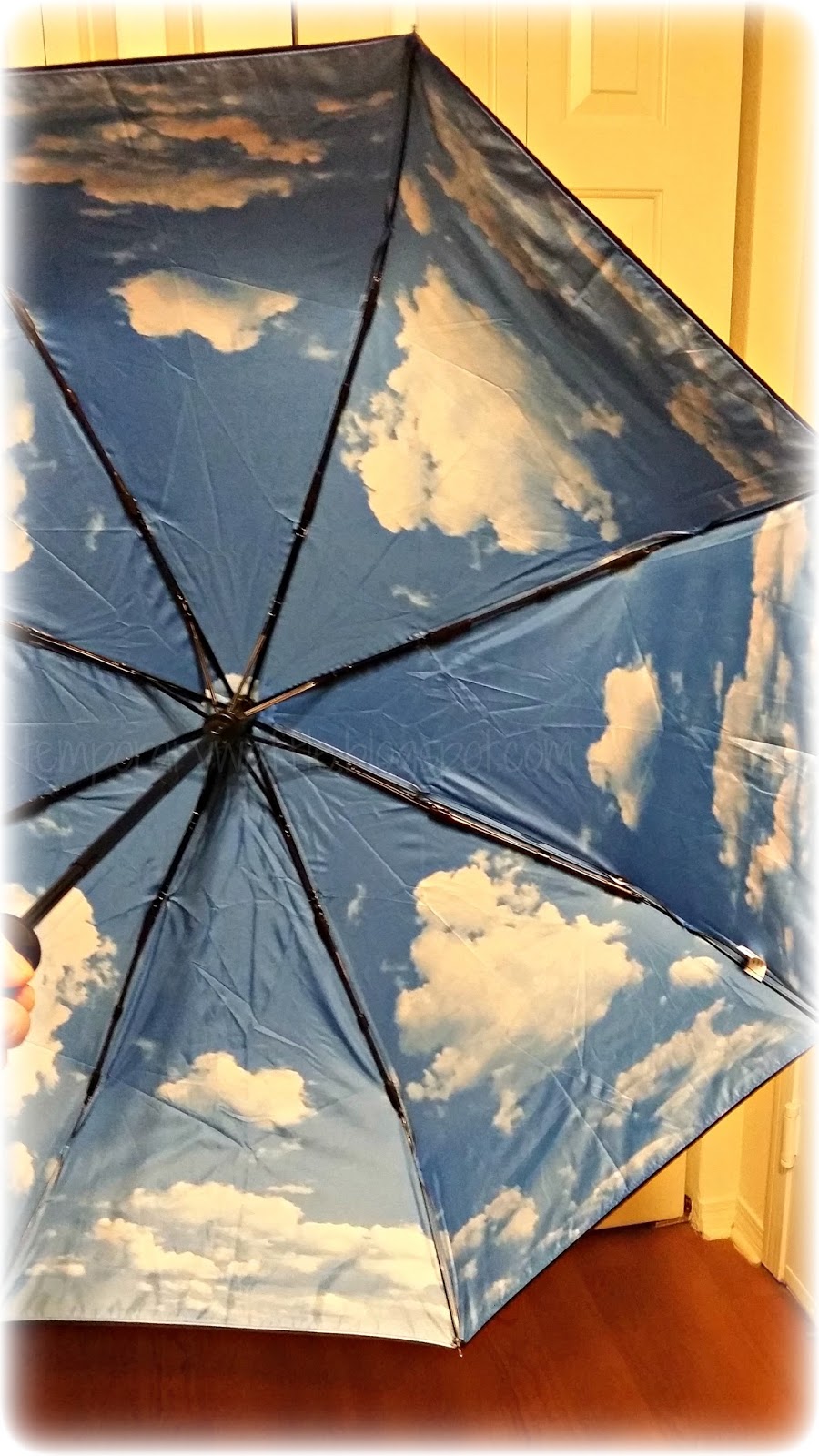 crown coast umbrella