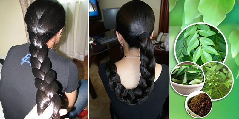 Homemade Magic Hair Growth Oil Healthy Thick And Long Hair Slviki