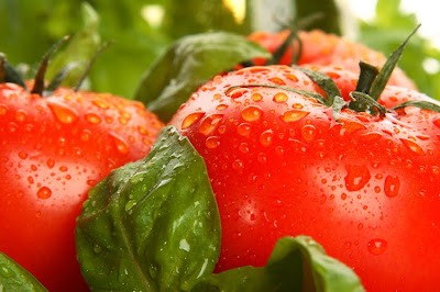 FRUTAS Y HORTALIZAS DE COLOMBIA CON POTENCIAL EN EE.UU.
