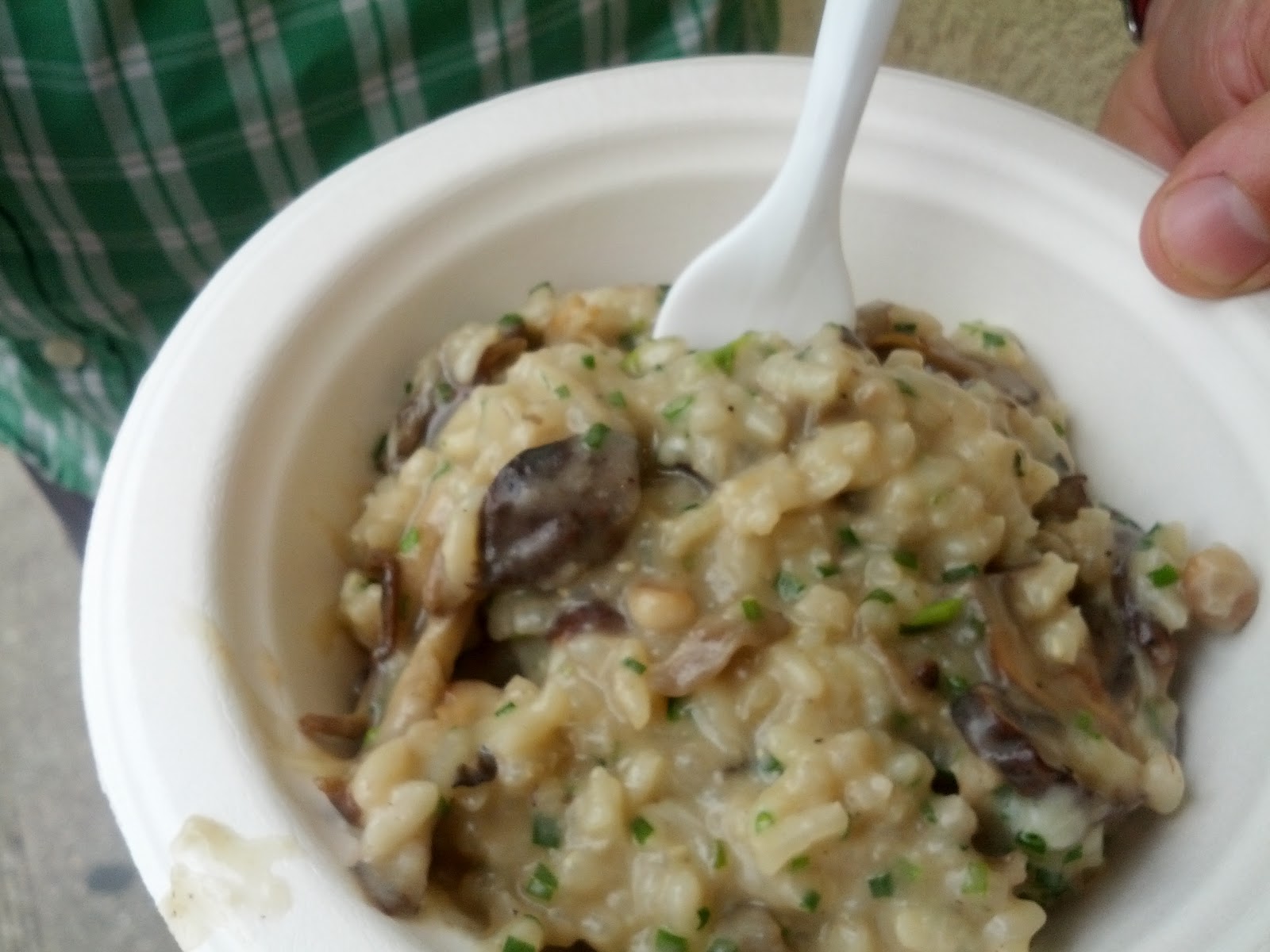 This is Gonna Be Good Square Mushroom Festival, PA