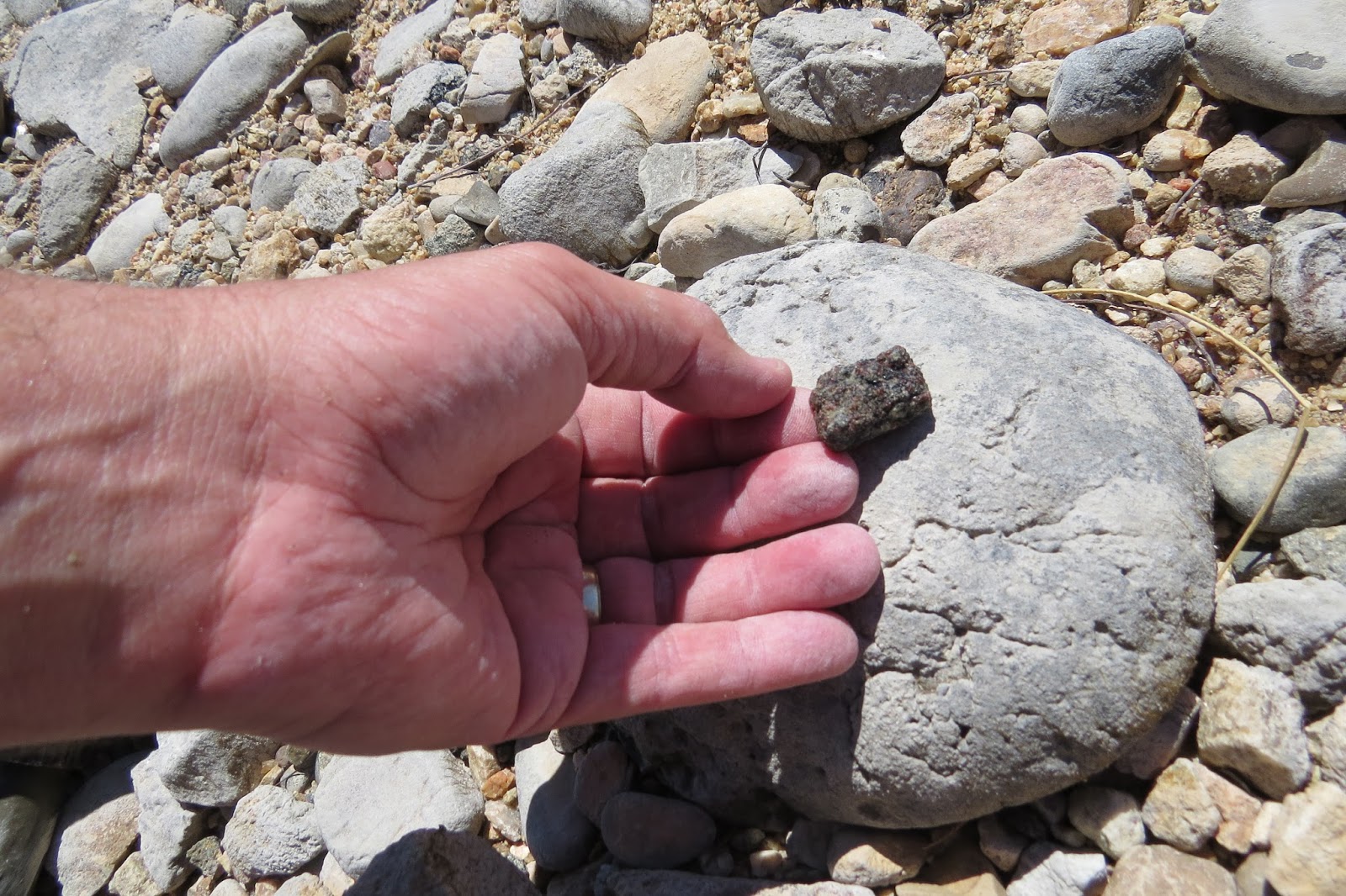 Readerbuzz Hunting for Ruby Reservoir, Montana