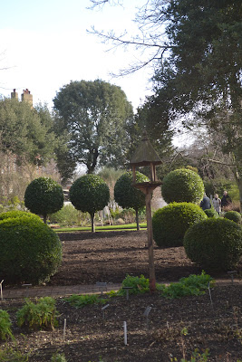 Chelsea physic garden