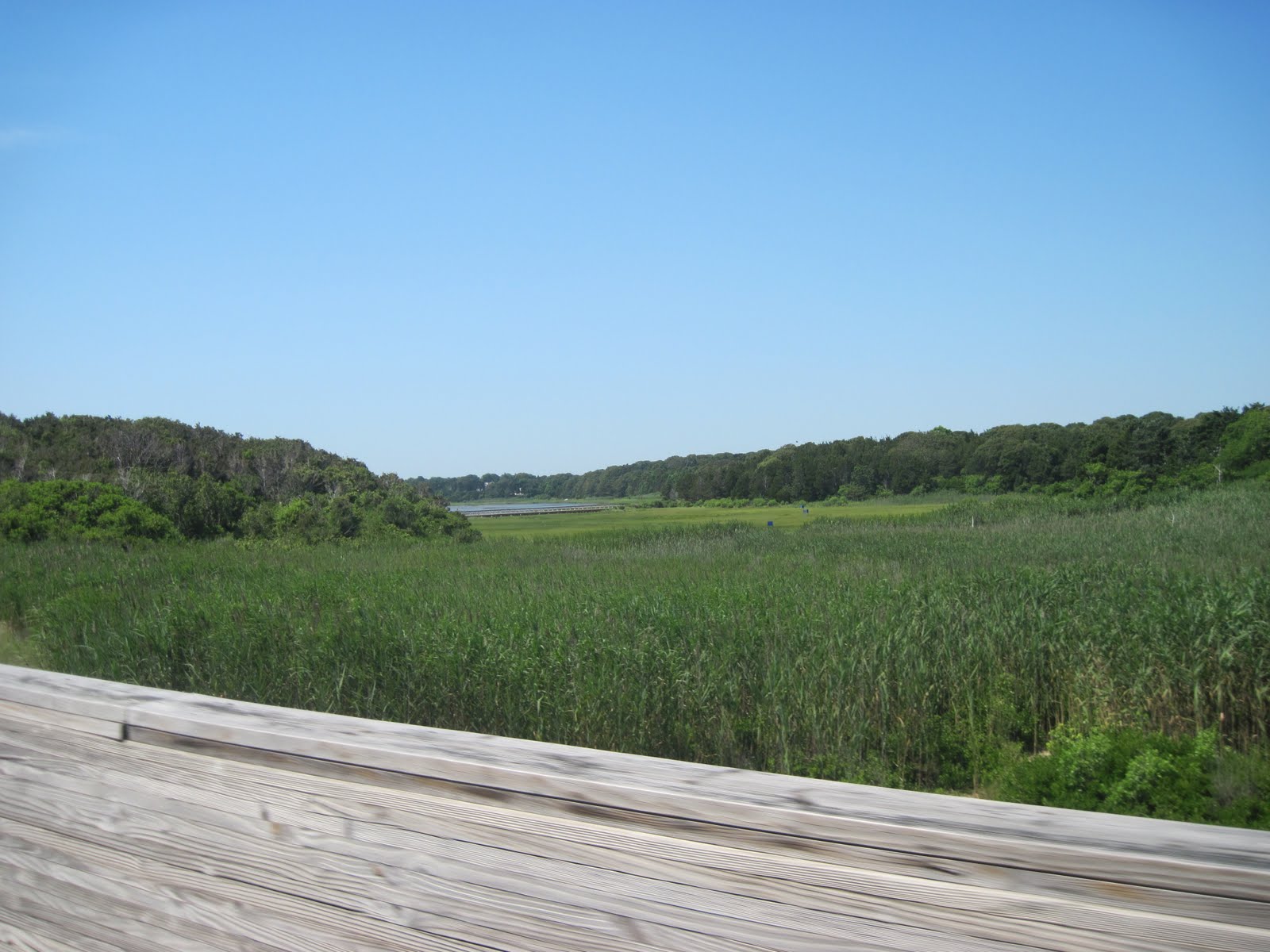 On The Brink Easy Breezy Cape Cod