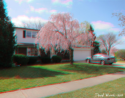 3D house car tree anaglyph