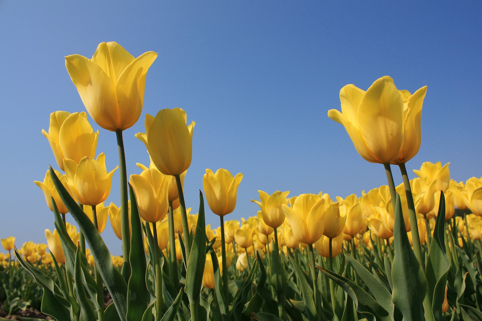 Hit Sad Song - youtubecom