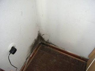 Nrw Aktuell Tv Keine Gute Idee Bei Der Hitze Handy Im