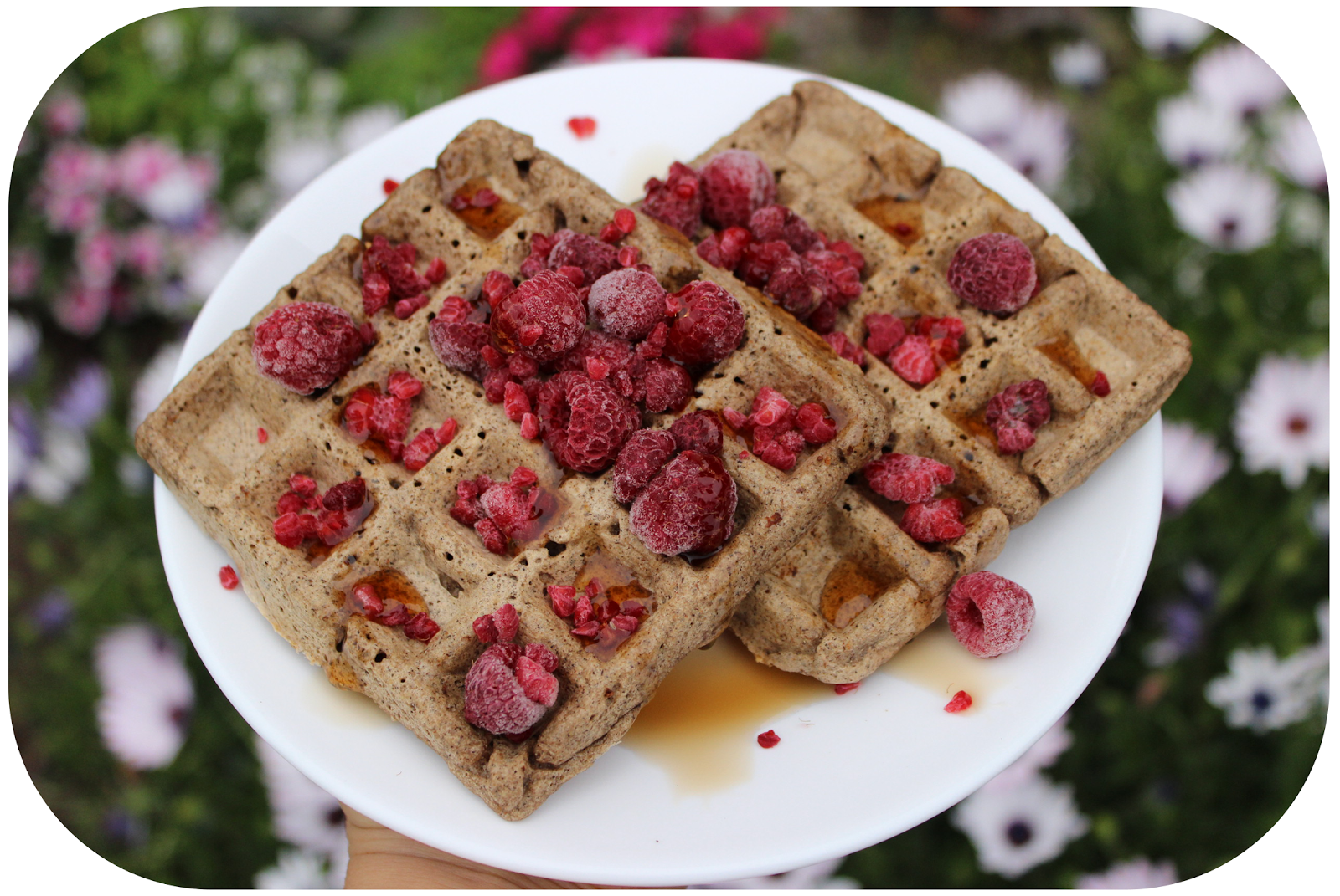 Image Result For Receta Waffles Veganos Image Result For Receta Waffles Veganos