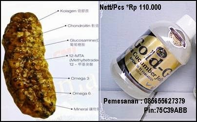 Grosir / Eceran JELLY GAMAT GOLD-G