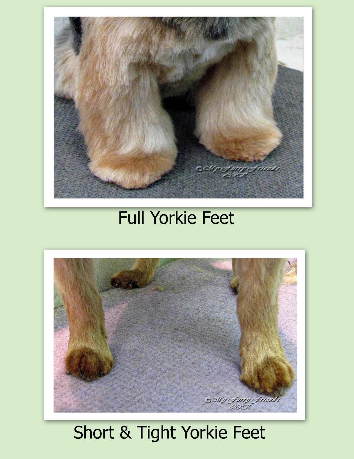 Pet Grooming The Good, The Bad, & The Furry Tuesday's Tip 21 Trimming