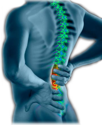 lower back pain mono