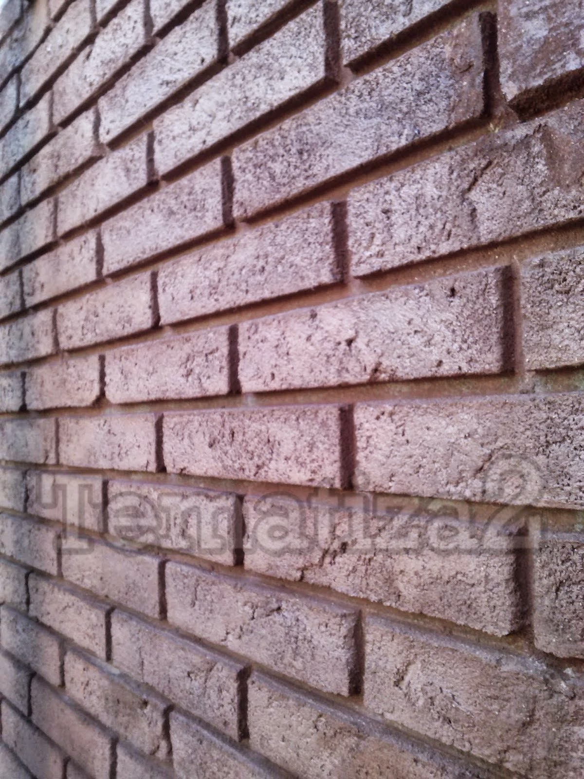 TEMATIZA 2: "REVESTIMIENTO DE LADRILLO ROJO"