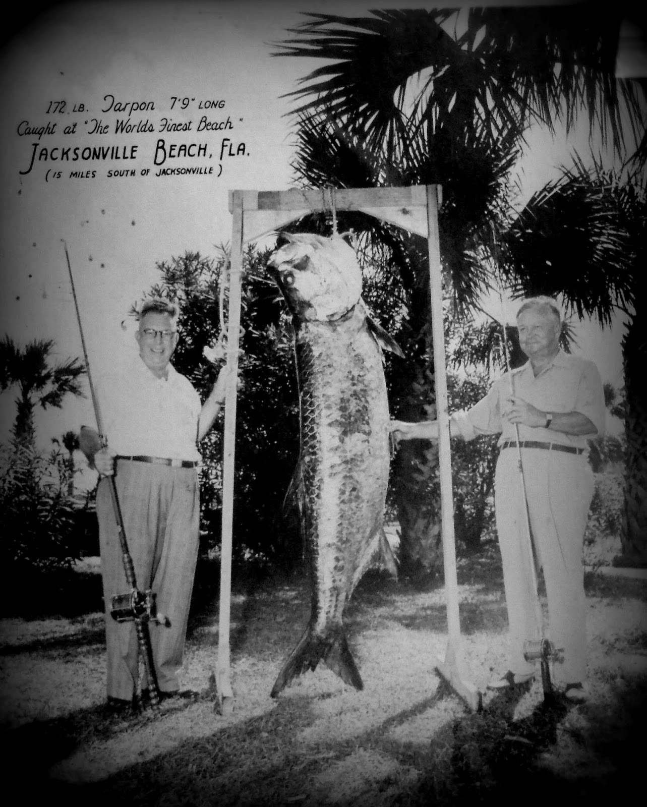 Beaches History: A.G. Penman's Record Tarpon
