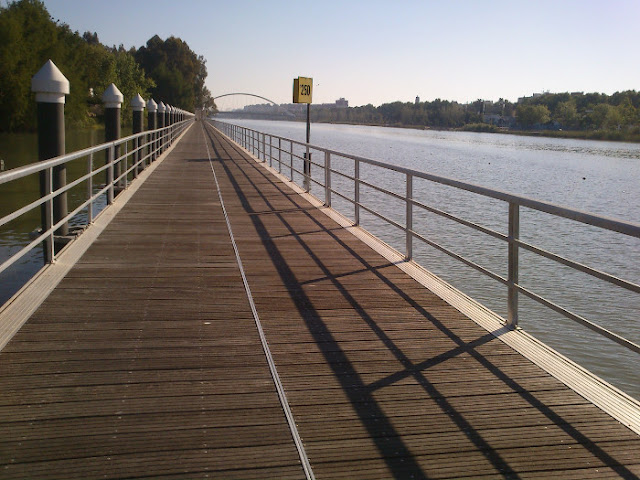 Pasarela flotante de madera sobre el río Guadalquivir