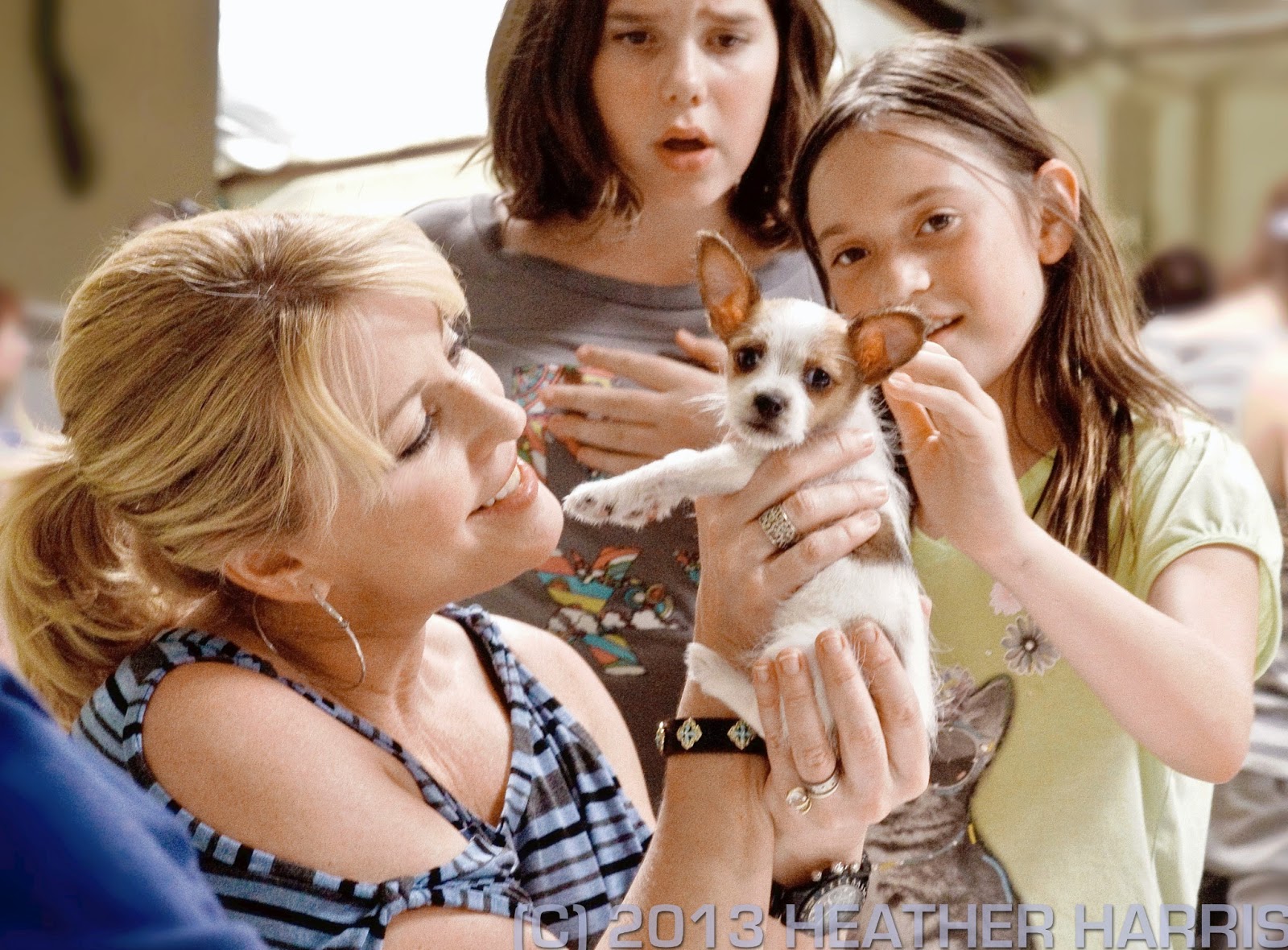 Fast Film BLUEEYED DEVILS, GLAM SKANKS live at PET ORPHANS BENEFIT