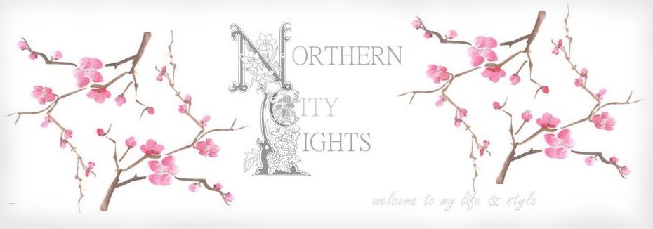 northern city lights