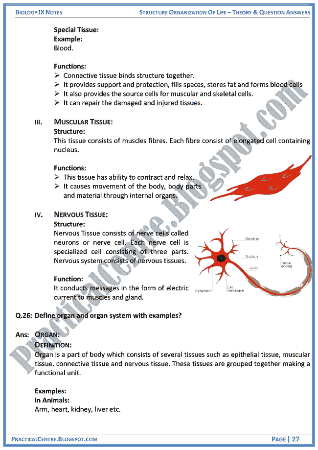 structural-organization-of-life-theory-and-question-answers-biology-ix