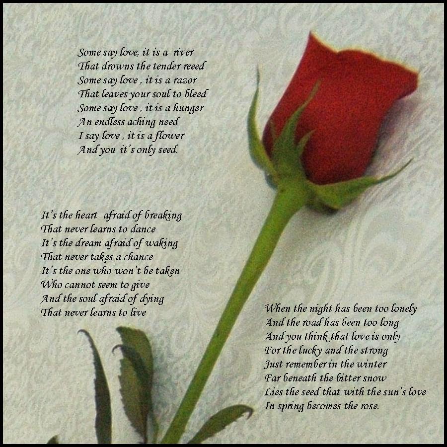 Words Often Left Unspoken.... Lyrics from "The Rose"