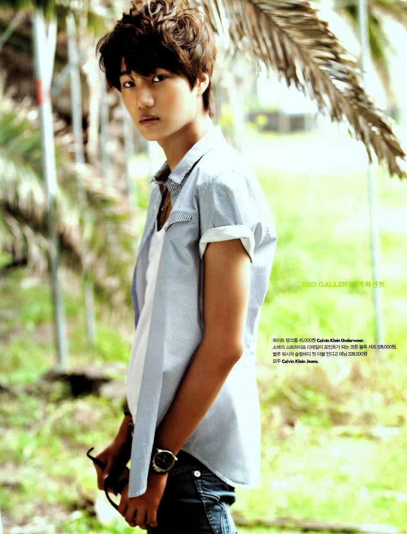 Korean Korean 129 Fakta Fakta Kim Jong In A Ka Kai Exo K