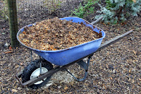 Mix fertilizer in wheelbarrow