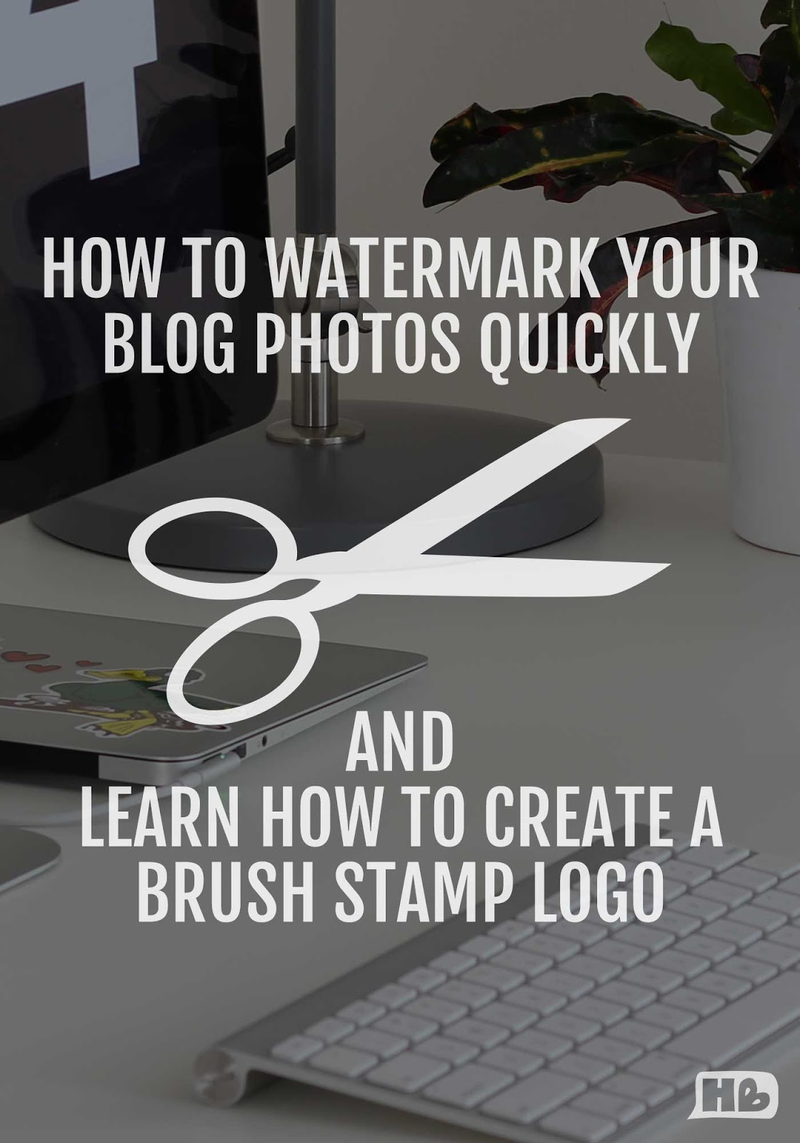 How to remove watermark from photo using mazbench