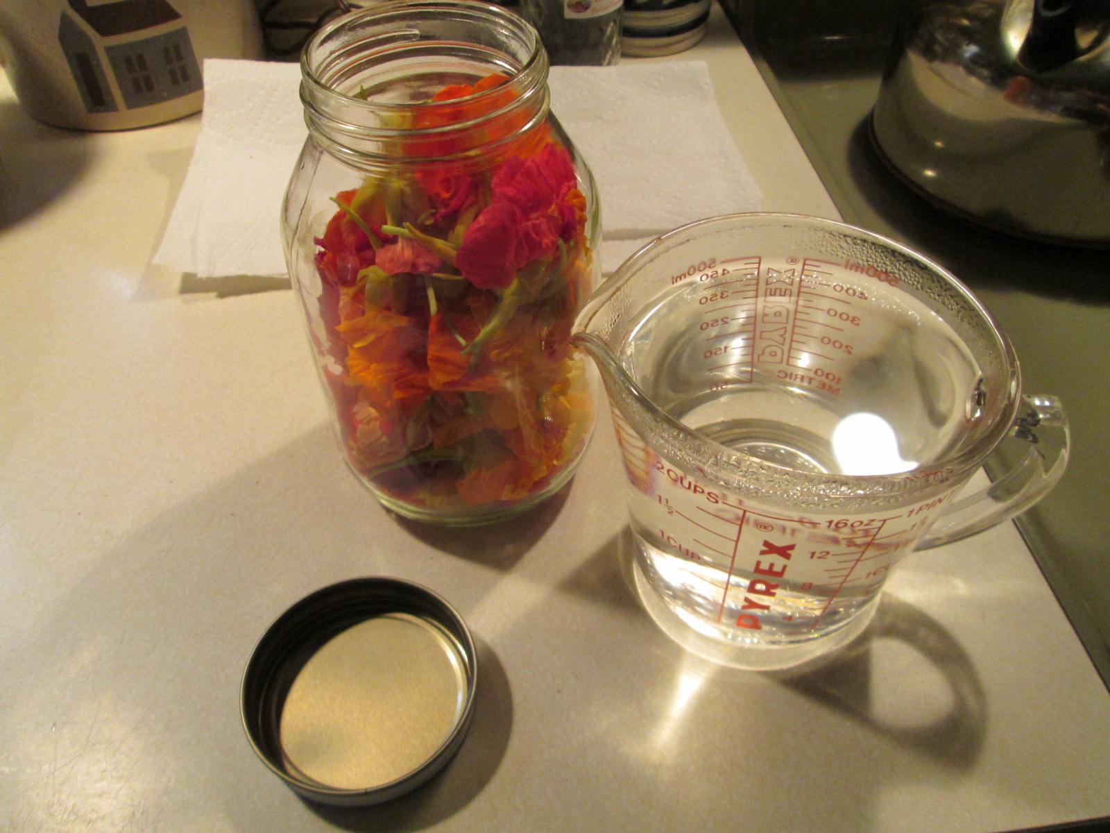Lemon Verbena Lady's Herb Garden Making Nasturtium Jelly!