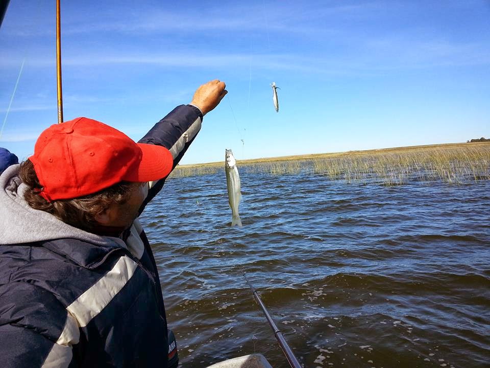El restaurante la pesca rusa a la orilla del golfo finlandés