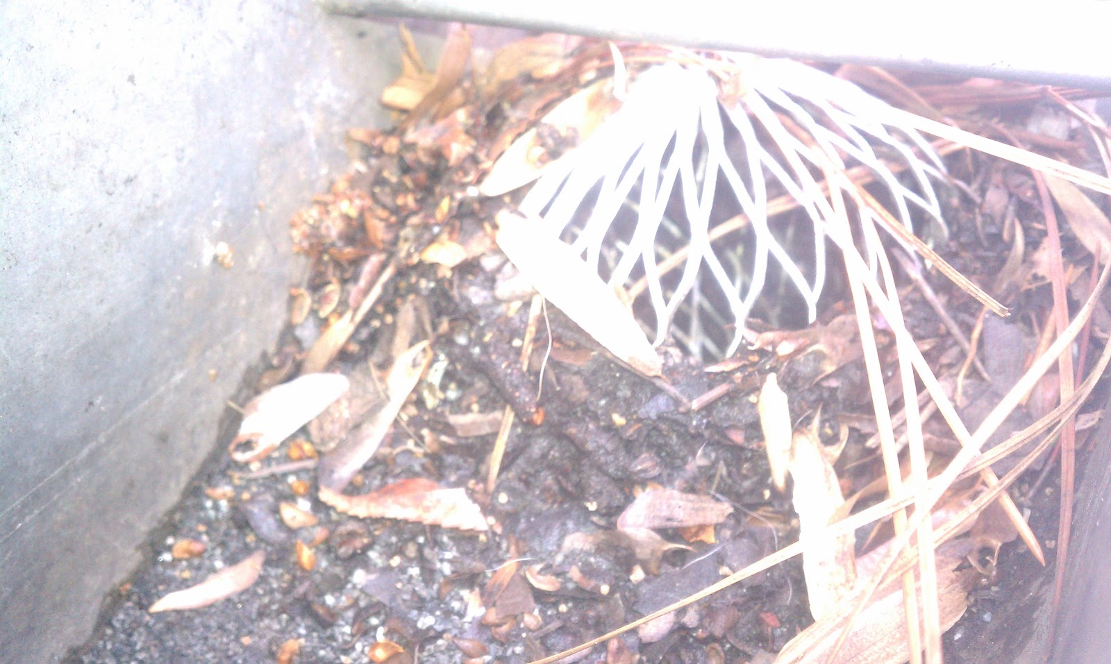 Allen & Deans, Inc./Raleigh Roof Contractor Serving the Triangle (919