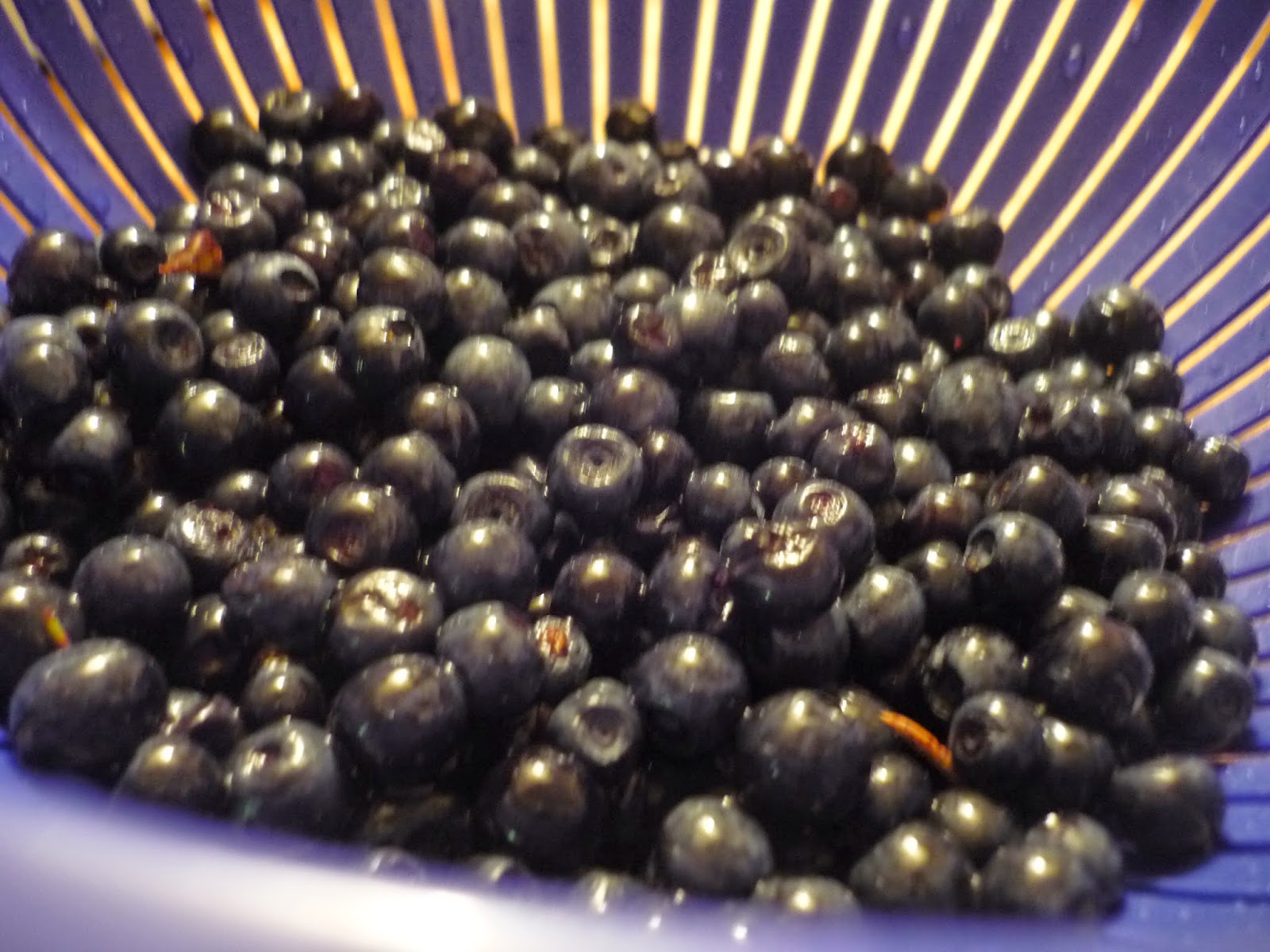 Co Ja Pichce Przepisy Ze Zdjeciami Borowki Dobre Na Biegunke