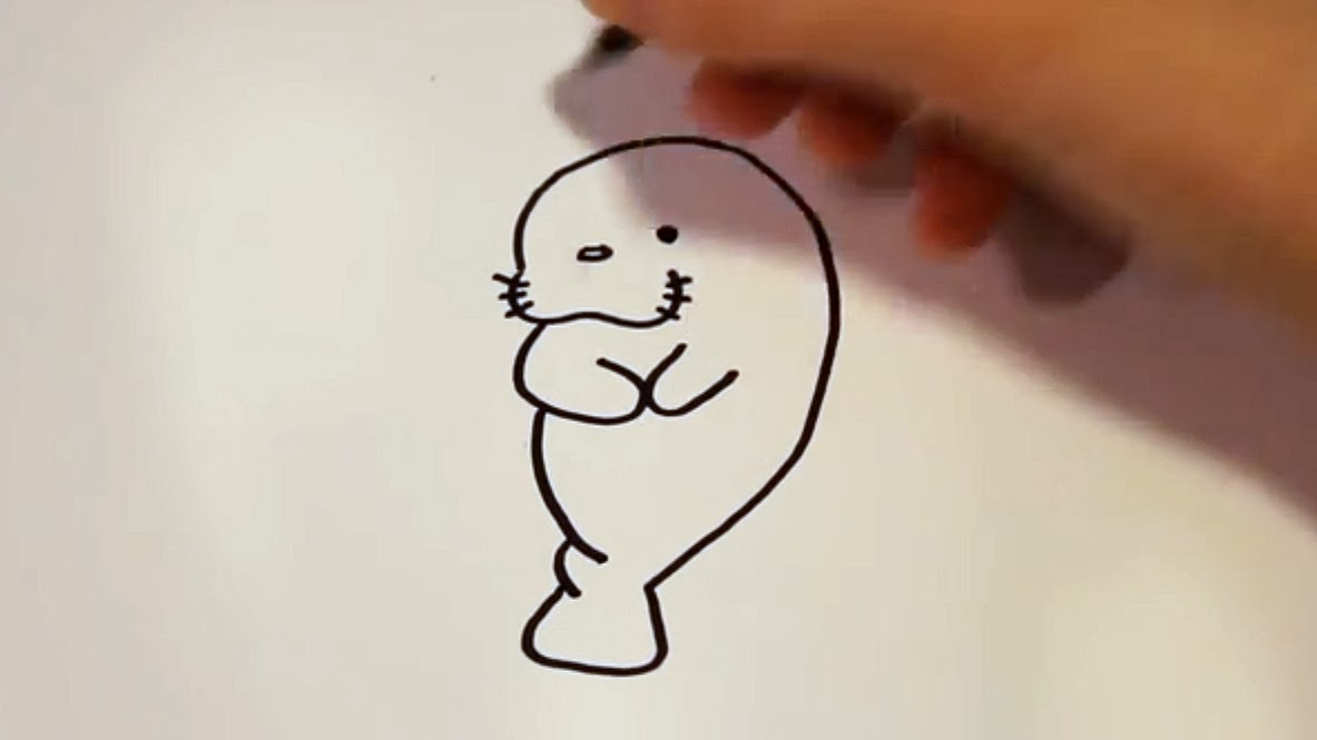 DoodleKat1 DoodleKat1