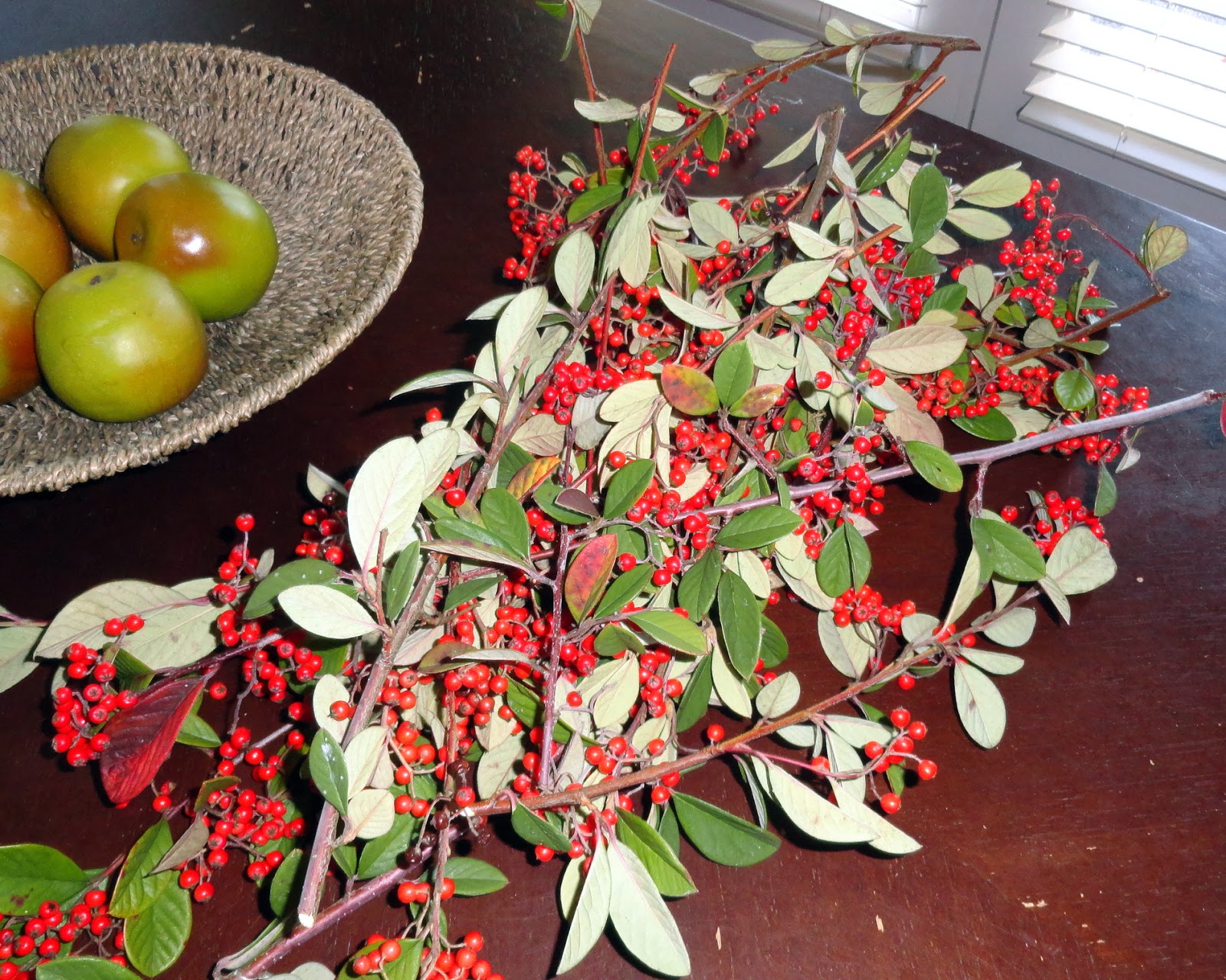 Boxwood wreath from Trader Joe's snazzed up for free Rachel Teodoro